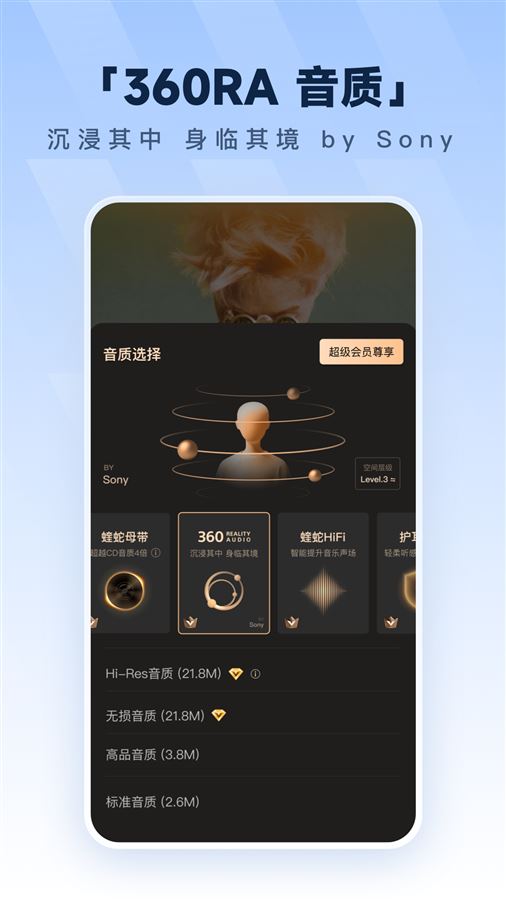 音质音效